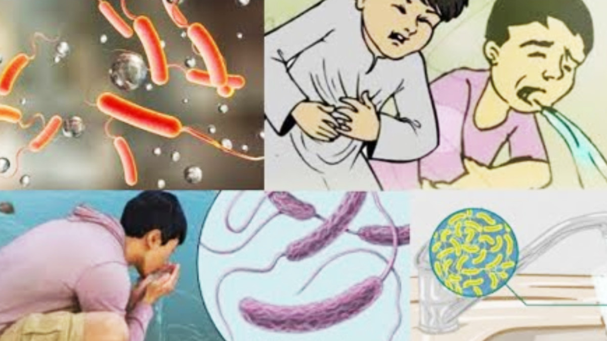 पर्सामा हैजा–झाडापखाला नियन्त्रणका लागि स्वास्थ्यकर्मीको विदा रोकिने